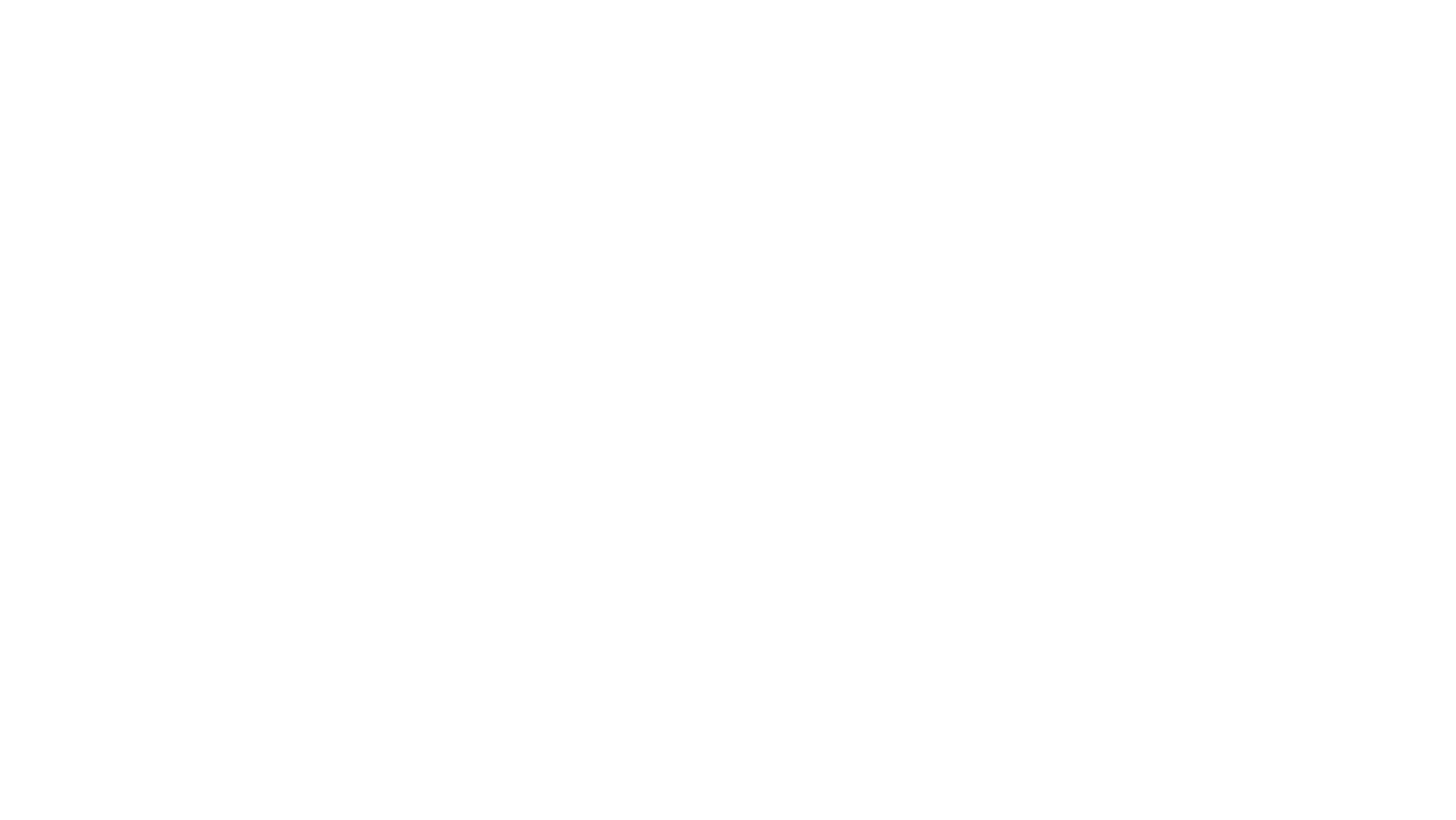 Avant Pinturas Logo Central